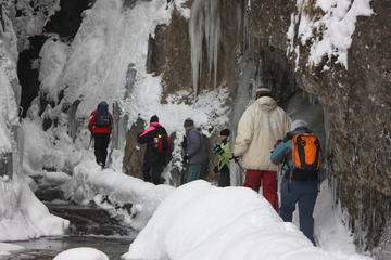 Private tour of Snowshoeing in Janosik Gorge in the North of Slovakia