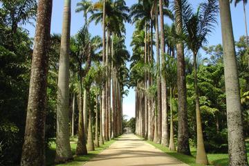 Botanical Garden Tour