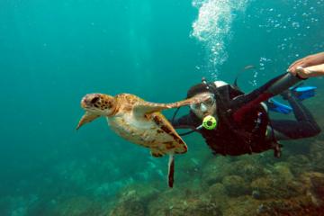 Private Tour: Day Tour to Arraial do Cabo from Rio de Janeiro
