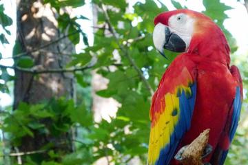 RioZoo Skip-the-Line Admission with Hotel Transfers