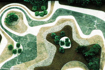 Sitio Roberto Burle Marx Private Tour