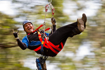 12 Apostles and Otway Fly Zipline Day Trip from Melbourne