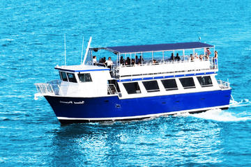 Sightseeing Cruise of Biscayne Bay