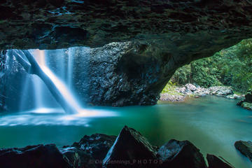 Springbrook National Park, Natural Bridge Hiking Tour from the Gold Coast
