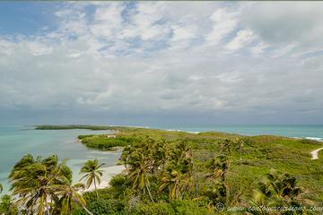 Day Trip to Isla Contoy with a Stop at Isla Mujeres