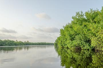 Half-Day Boat Cruise to Nipchupte Lagoon From Cancun