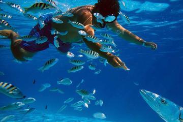 Snorkeling and Beach Club Access in Cozumel with Lunch