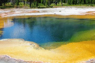 Day Trip Yellowstone Lower Loop Self-Guided Tour from Cody near Cody, Wyoming 