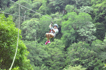 Borinquen Combo Horseback Riding and Canopy Tour