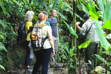 Day Trip to Monteverde Cloud Forest
