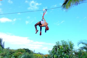 4-Line Jungle Zipline Tour on Maui