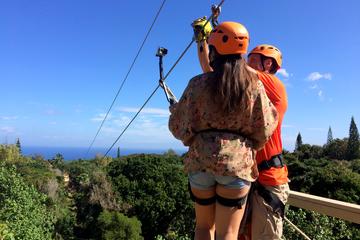 Maui Jungle Zipline Eco Adventure