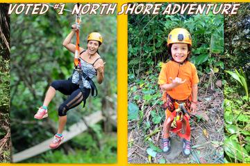 Maui Jungle Zipline Tour