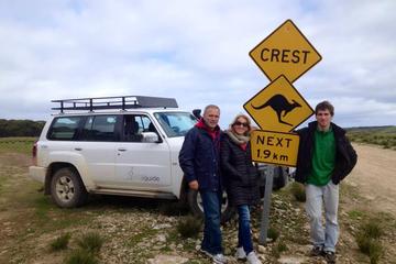 Kangaroo Island 4WD Full-Day Tour - Seal Bay