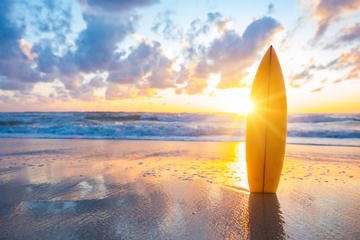 Surfboard Weekly Rental