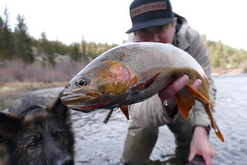 Full-Day Small-Group Fly Fishing Tour