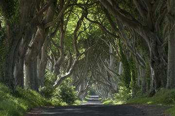 All-Ireland 6-Day Tour from Dublin