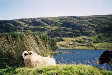 County Kerry – Tagesausflug von Dublin