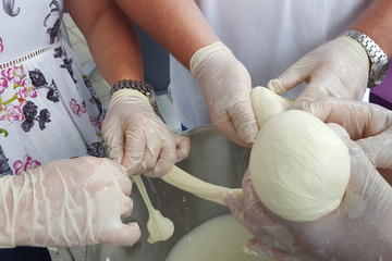 Mozzarella Class and Pizza Class