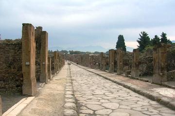 Pompei Archeological site and Wine tasting Experience