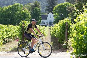 Private Cycling Tour of Constantia Winelands