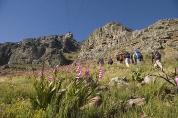 mountain tour