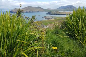 4-Day Kingdom of Kerry Tour from Dublin