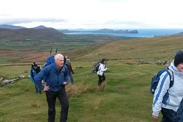 Dingle and Slea Head Day Tour from Killarney