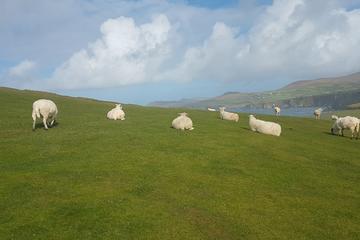 The Celtic Voyage - 6 Day Travel Pass Tour