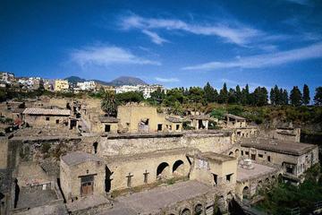 Herculaneum and Pompeii Tour from Sorrento