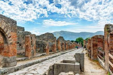 Pompeii and Mt. Vesuvius Private Tour from Positano or Amalfi