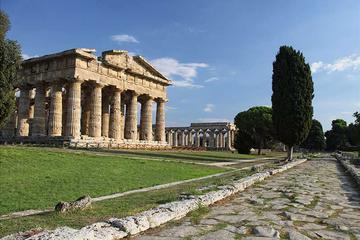 Private excursion to Paestum and Buffalo Cheese Factory from Sorrento