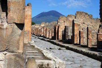 Private Excursion to Pompeii and Mt. Vesuvius from Sorrento