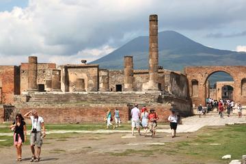 Semi-private: Pompeii & Herculaneum full day