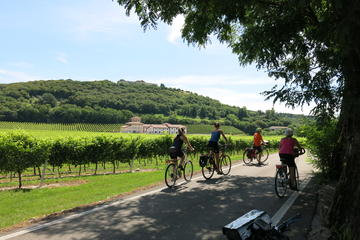 Organic wine tour by bike
