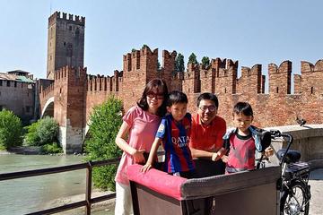 Verona Cargo Bike Tour