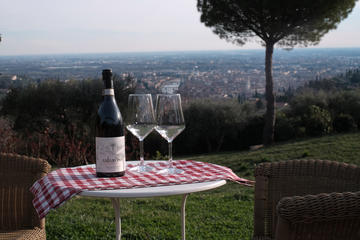 Wine with view E-bike tour