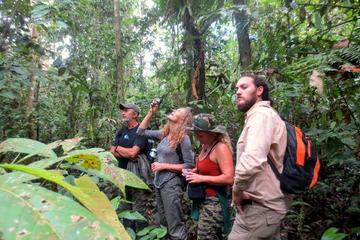 4-Day Wildlife Adventure in Pacaya-Samiria Reserve from Iquitos with Amazon Explorer