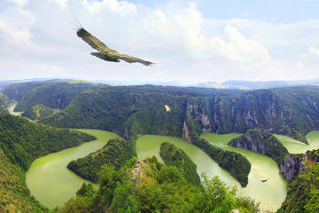 Wild River of Western Serbia