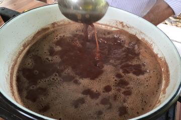 Cocoa farm and Chocolate making!