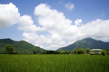 Guayaquil and Cocoa farm Full Day Private Tour