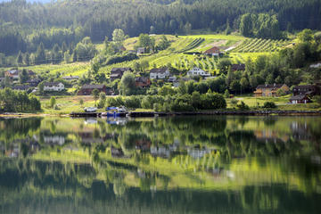 Hardangerfjord Day Trip from Bergen