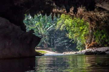 Altun Ha Cave Tubing and Zip line Tours  from San Pedro Ambergris Caye