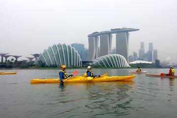 Kallang Kayak Tour