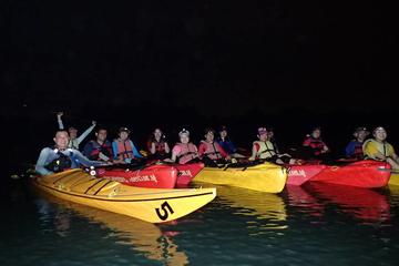 Twilight Mangrove Kayak Tour