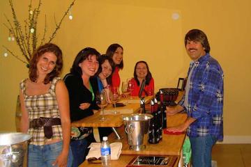 Day Trip Hop-On Hop-Off Wine Tasting Tour from Paso Robles near Paso Robles, California 