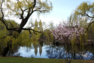Private Scenic Central Park Walking Tour