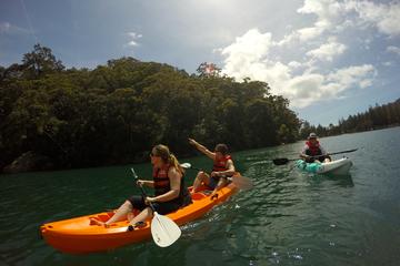 Explore Pittwater on a Double Kayak