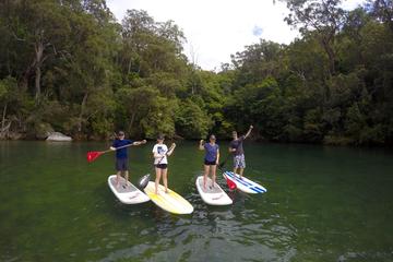 Sydney to Ku-ring-gai Wildlife Adventure Tour