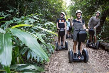 Whitsunday Segway Rainforest Discovery Tour